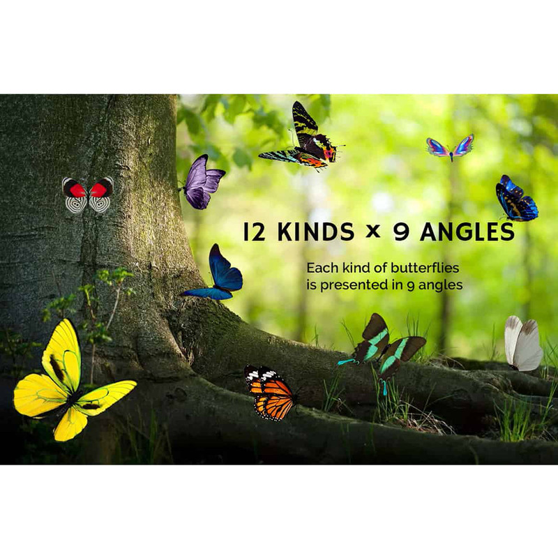 04-butterfly clipart.jpg