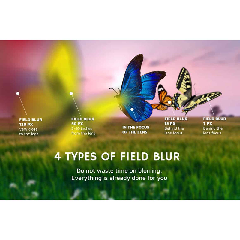 05-butterfly clipart png.jpg