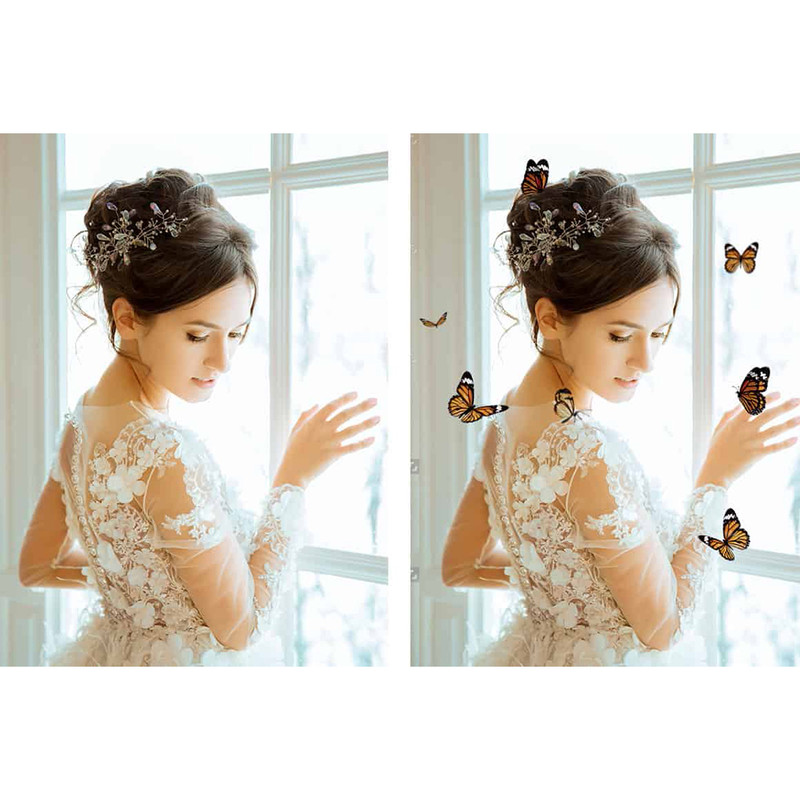 12-butterfly overlay photoshop.jpg