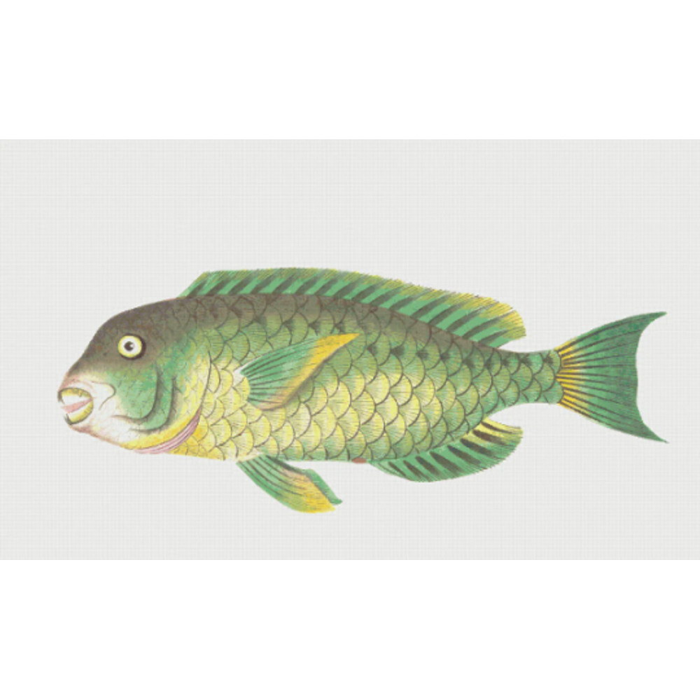 Без названия (4).png