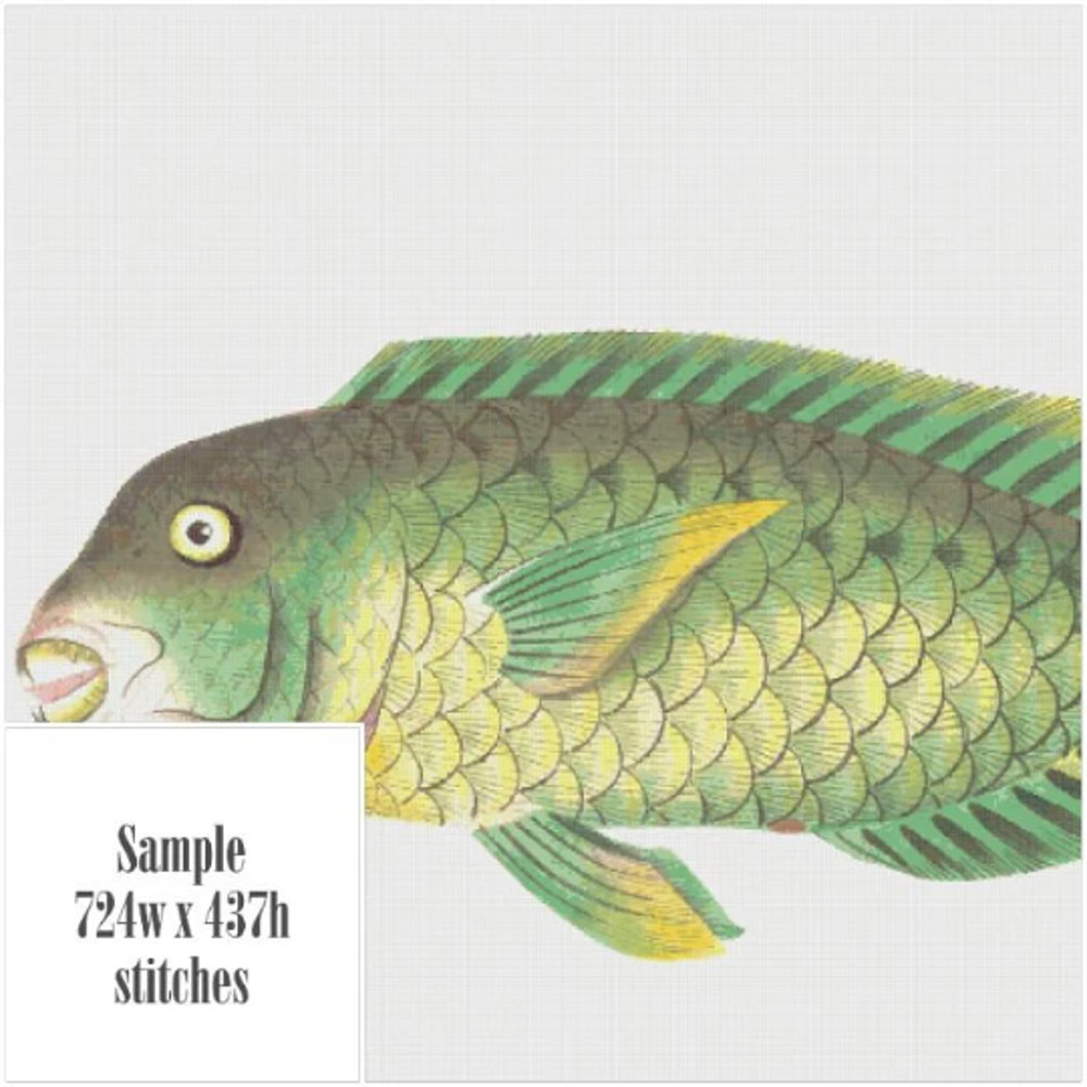 Без названия (5).png