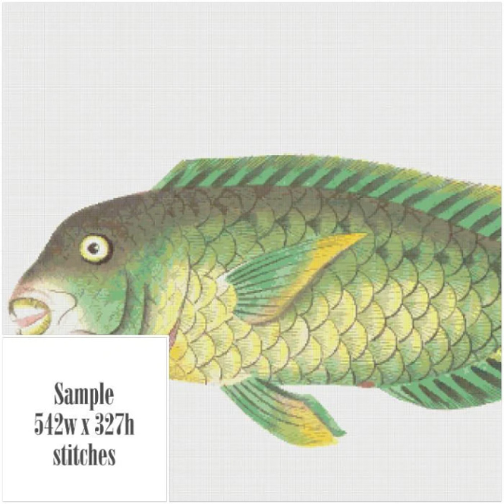 Без названия (7).png