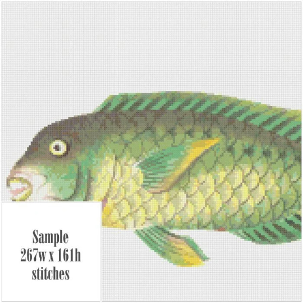 Без названия (10).png