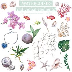 Watercolor Illustration set Of Marine theme with corals, shells, fish, tropical flowers orchids, Floral Clipart PNG and