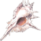 element 2.png