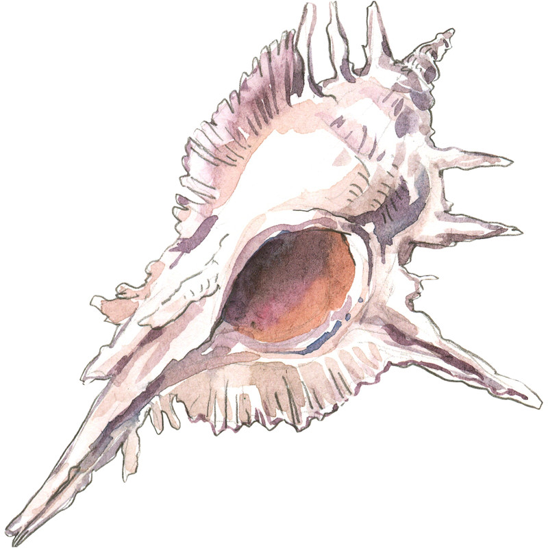 element 2.png