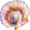 element 5.png