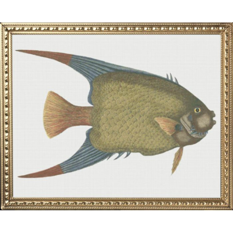 my_photo_metal-62 (2).jpg