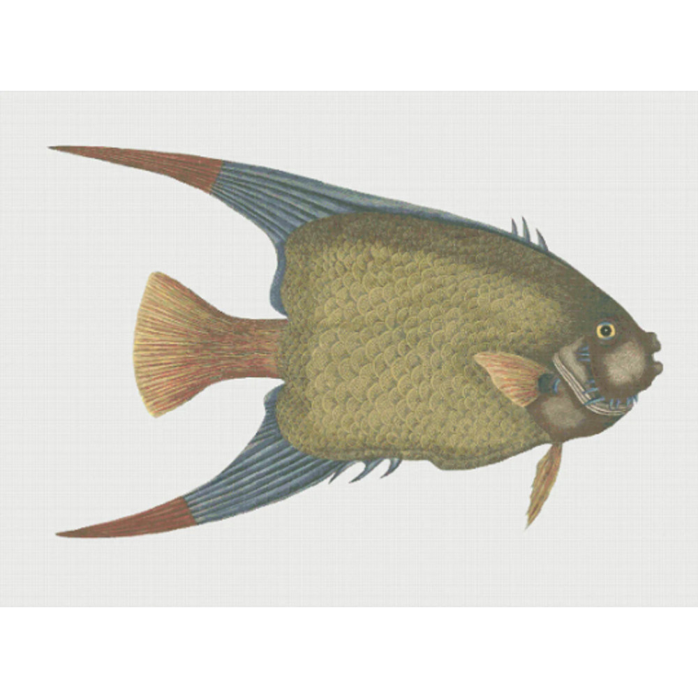 Без названия (4).png