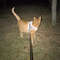 cat_harness_05.jpg