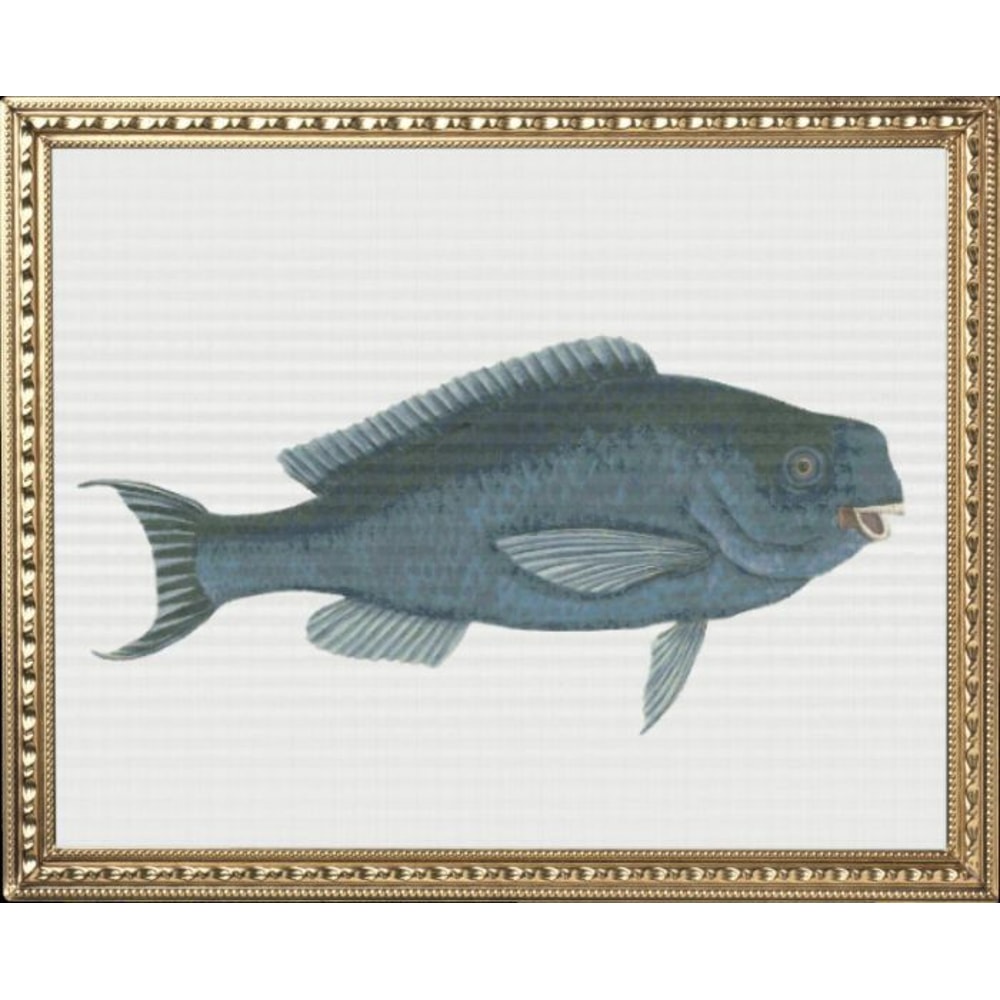 my_photo_metal-62 (2).jpg