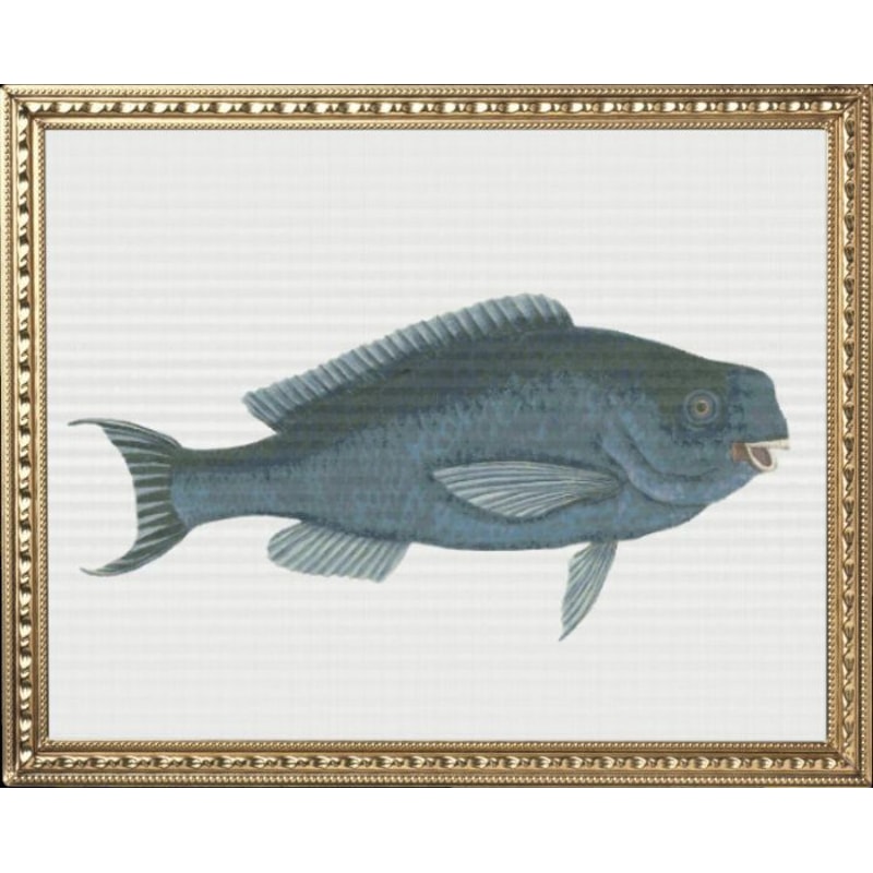 my_photo_metal-62 (2).jpg