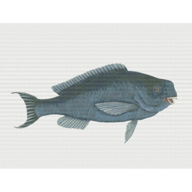 Без названия (4).png