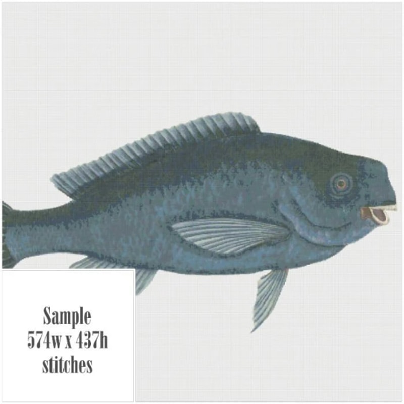 Без названия (5).png