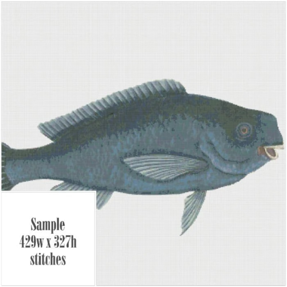 Без названия (7).png