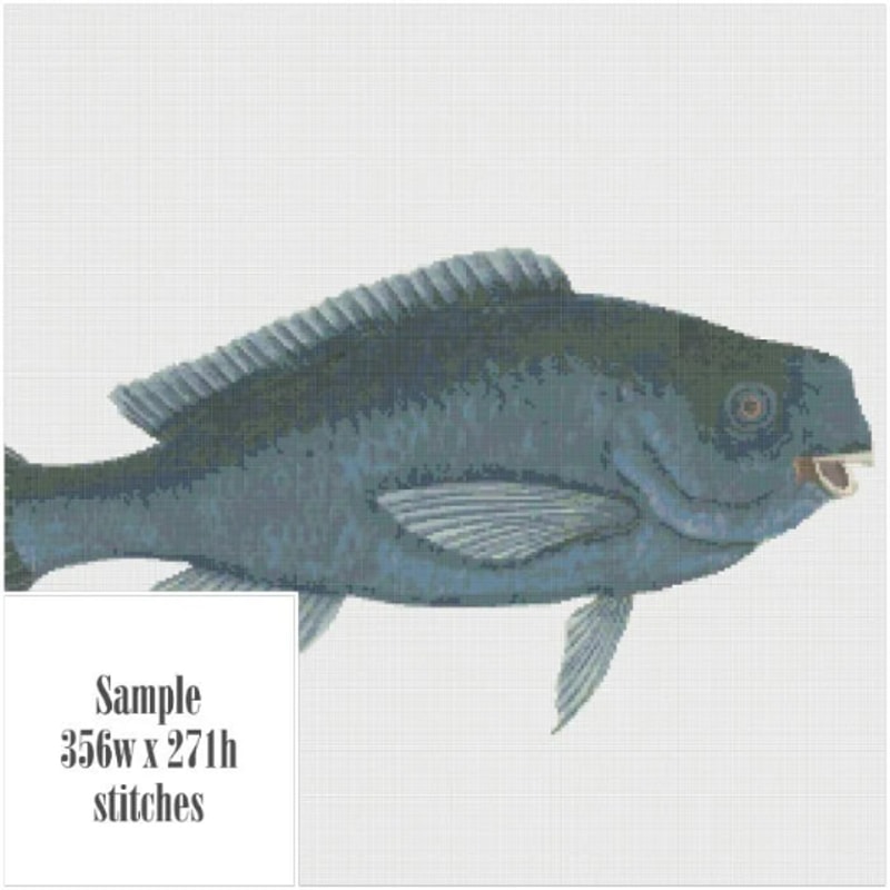 Без названия (8).png