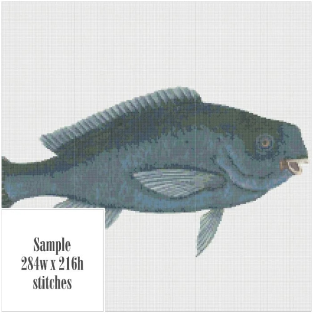 Без названия (9).png