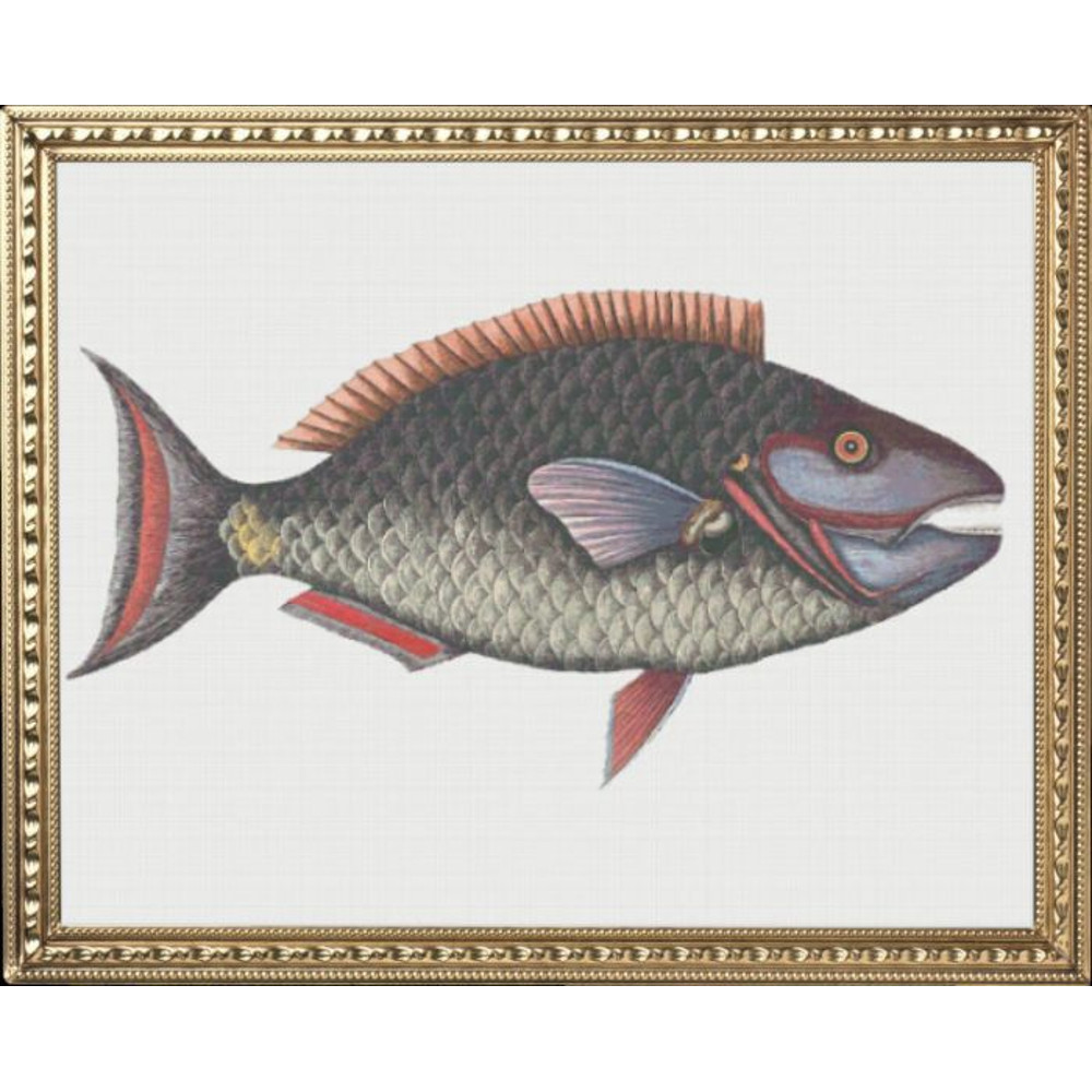 my_photo_metal-62 (2).jpg