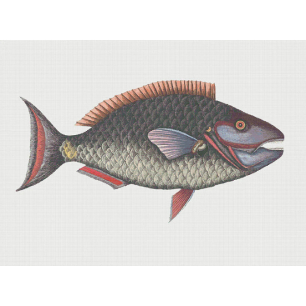 Без названия (4).png