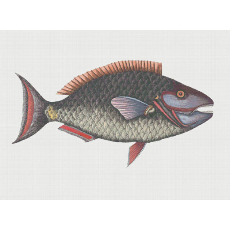 Без названия (4).png