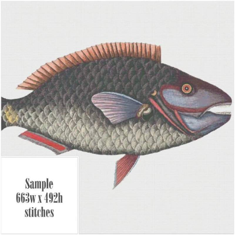 Без названия (5).png