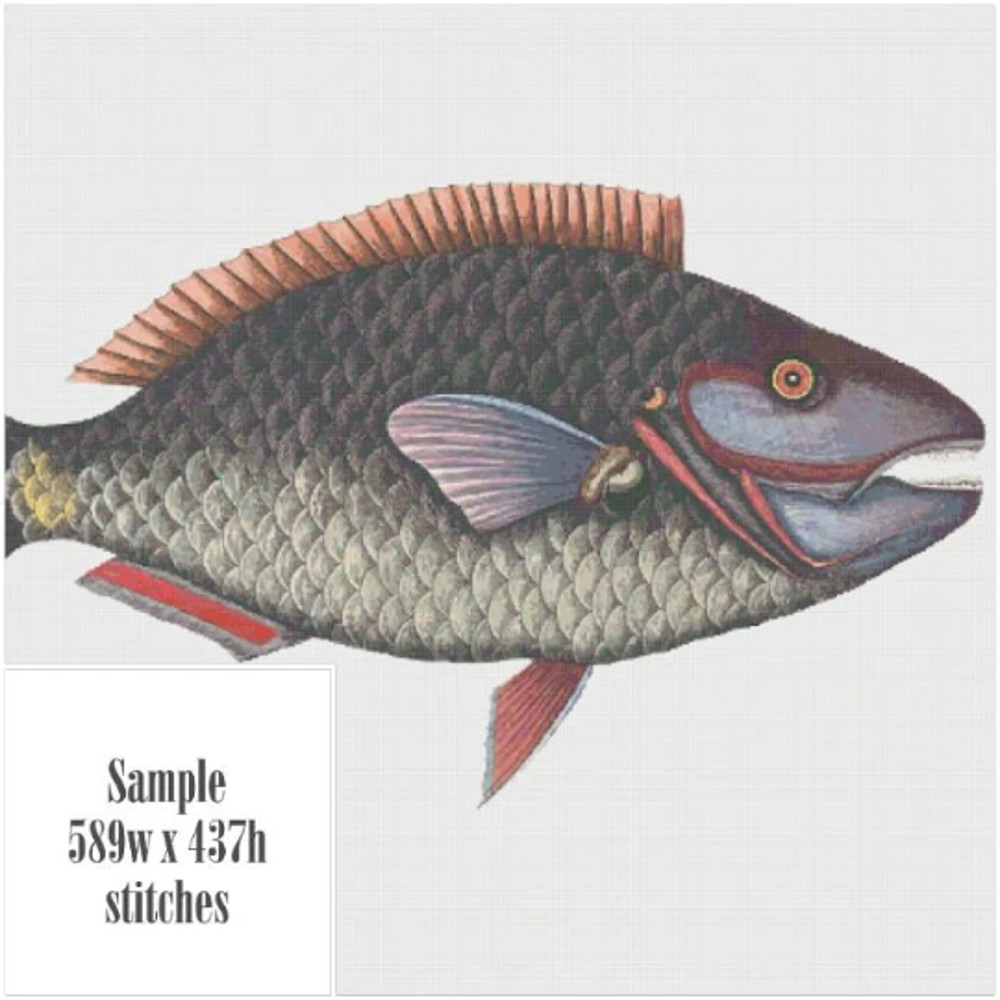 Без названия (6).png