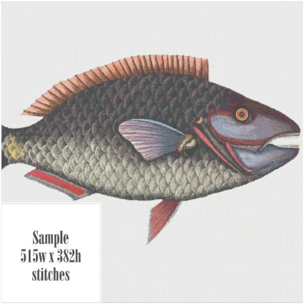 Без названия (7).png