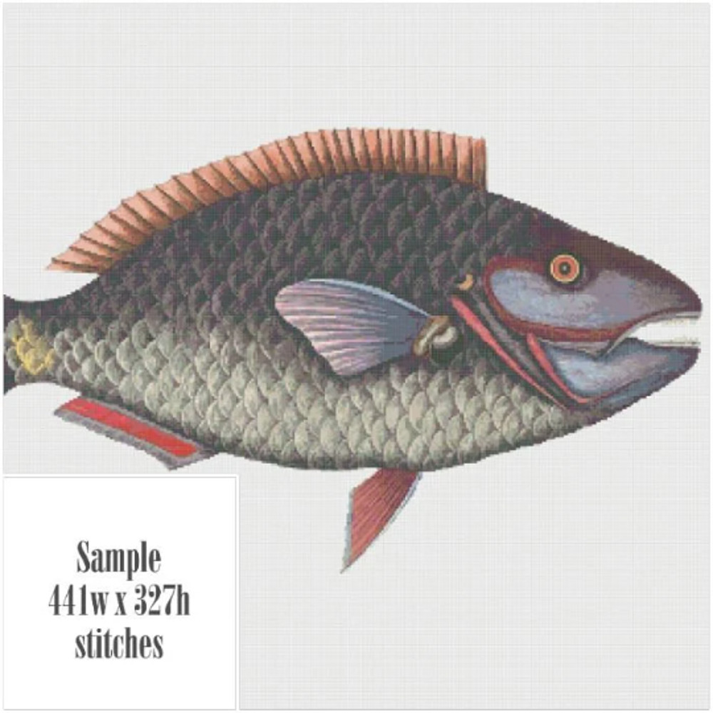 Без названия (8).png