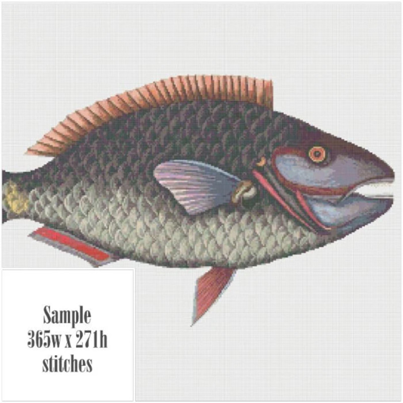 Без названия (9).png