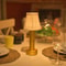 rechargeabledecorativeledtableandbarlampwithshade7.png