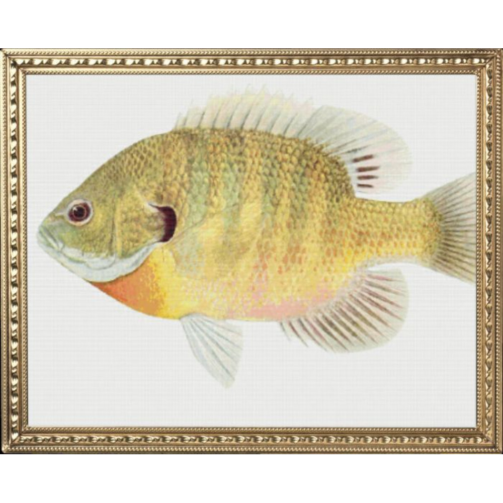 my_photo_metal-62 (2).jpg