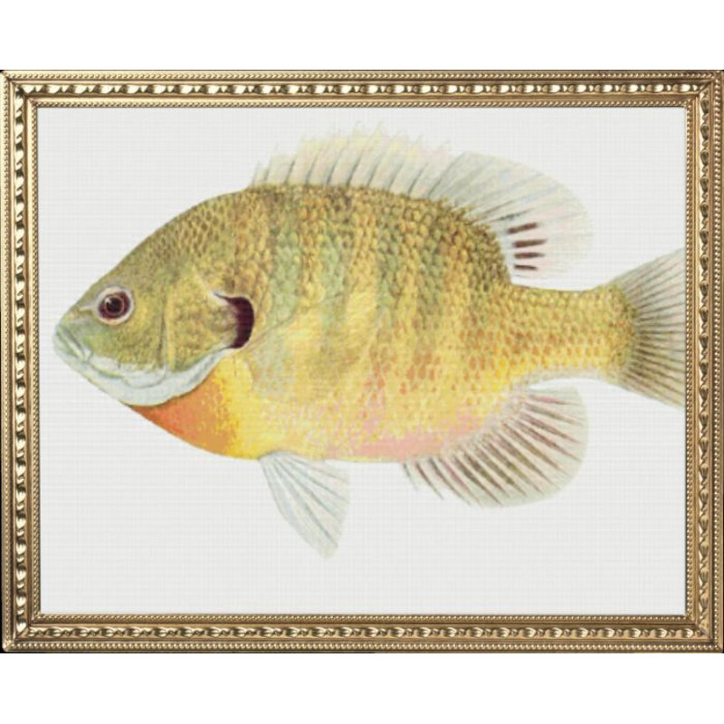 my_photo_metal-62 (2).jpg