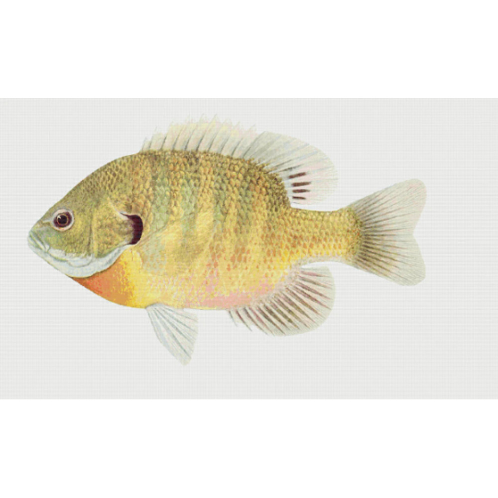 Без названия (4).png