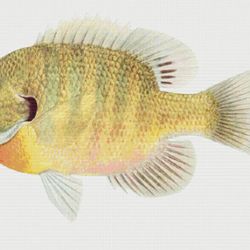 pdf counted cross stitch pattern | fish | 6 sizes