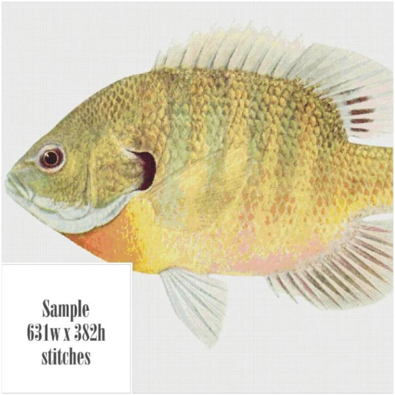 Без названия (5).png