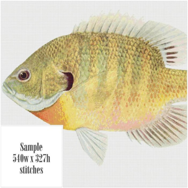 Без названия (6).png