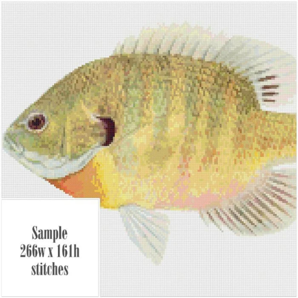 Без названия (10).png