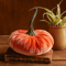 smallvelvetpumpkinpillowsorange.png