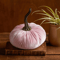 smallvelvetpumpkinpillowspink.png