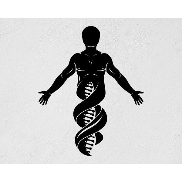 Helix Dna DNA Code Body Chromosome Sticker Popular