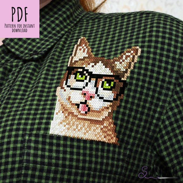 cat with glasses cross stitch pattern PDF for pocket and water soluble canvas by Smasterilli.JPG