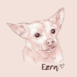 Digital Dog Portrait illustration - Personalized pet paintings custom - Noble Sandy Style