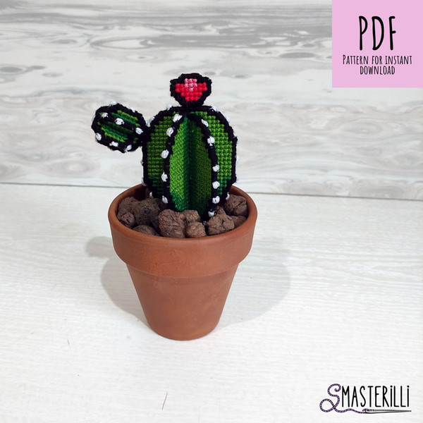 3D realistic potted cactus cross stitch pattern for plastic canvas. Pattern and detailed tutorial with photos and instructions by Smasterilli.JPG