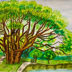 Summer landscape Willow tree, watercolor painting
