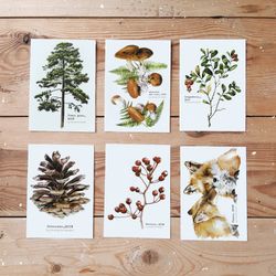 Forest watercolor postcards, set of 6 cards, size 10x15cm