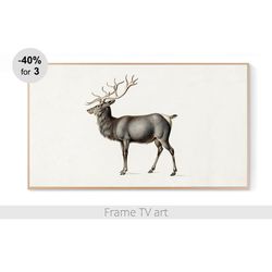Frame TV Art Download 4K, Samsung Frame TV Art Vintage Deer, Frame TV art painting, Frame TV art Christmas deer | 294