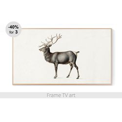 frame tv art download 4k, samsung frame tv art vintage deer, frame tv art painting, frame tv art christmas deer | 294