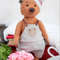 stuffed-animal-teddy-bear-barney (1).jpg