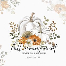 autumn white floral pumpkin arrangement watercolor clipart