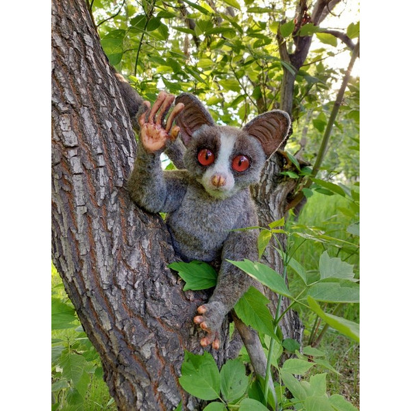 monkey-lemur-galago-by-galina-zharkova (1).jpg